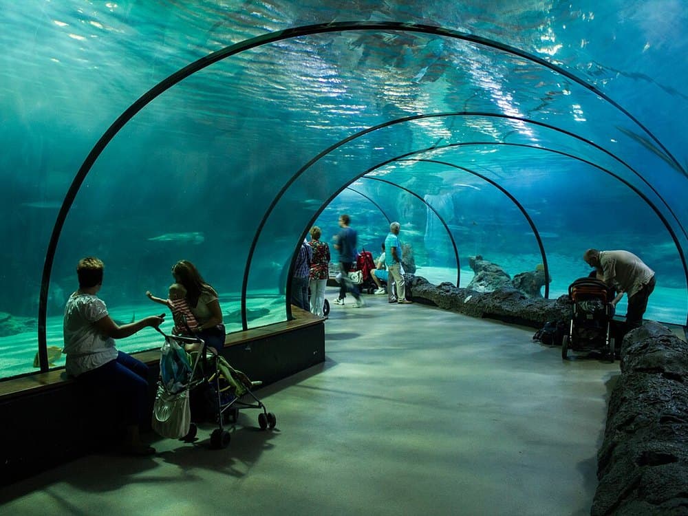 Walk Under the Ocean