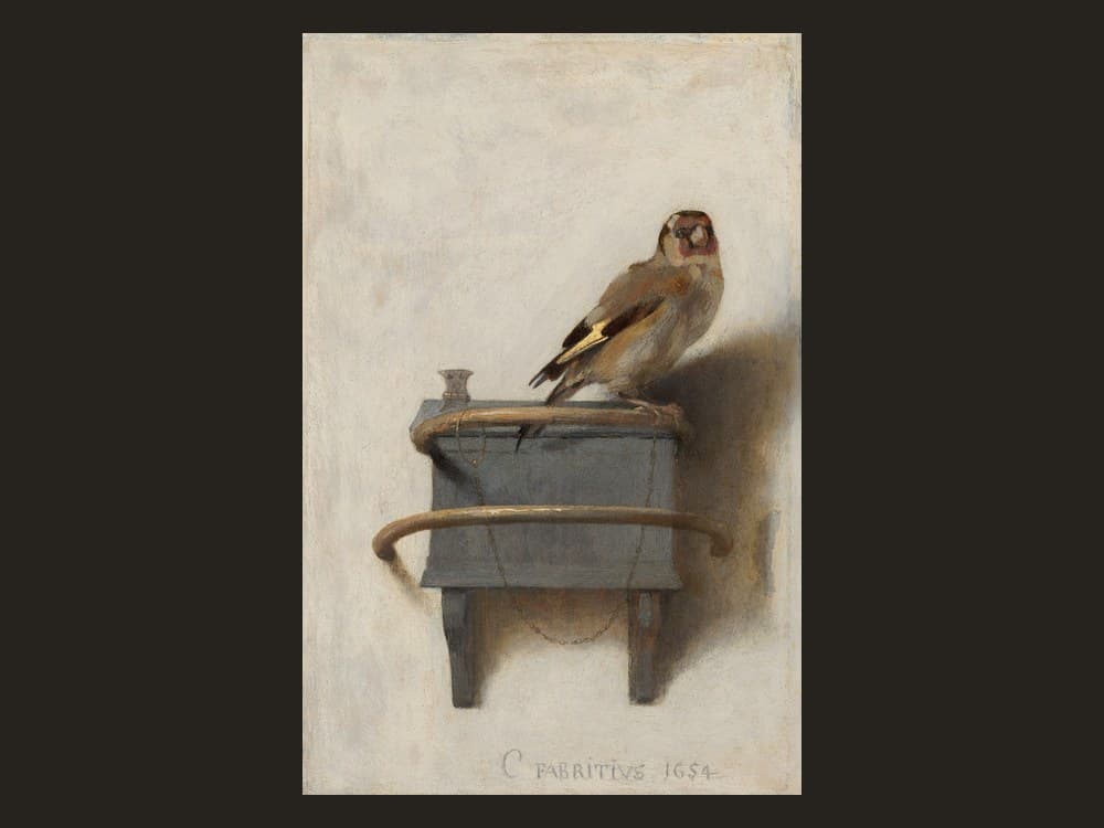 Fabritius's Goldfinch
